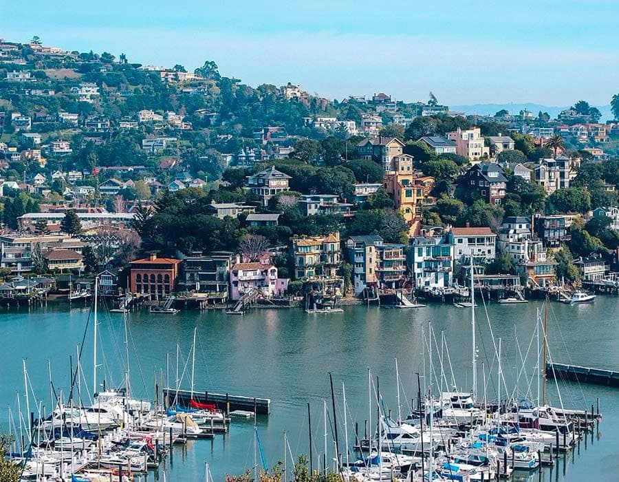 Homes on the Tiburon hillside above the harbor