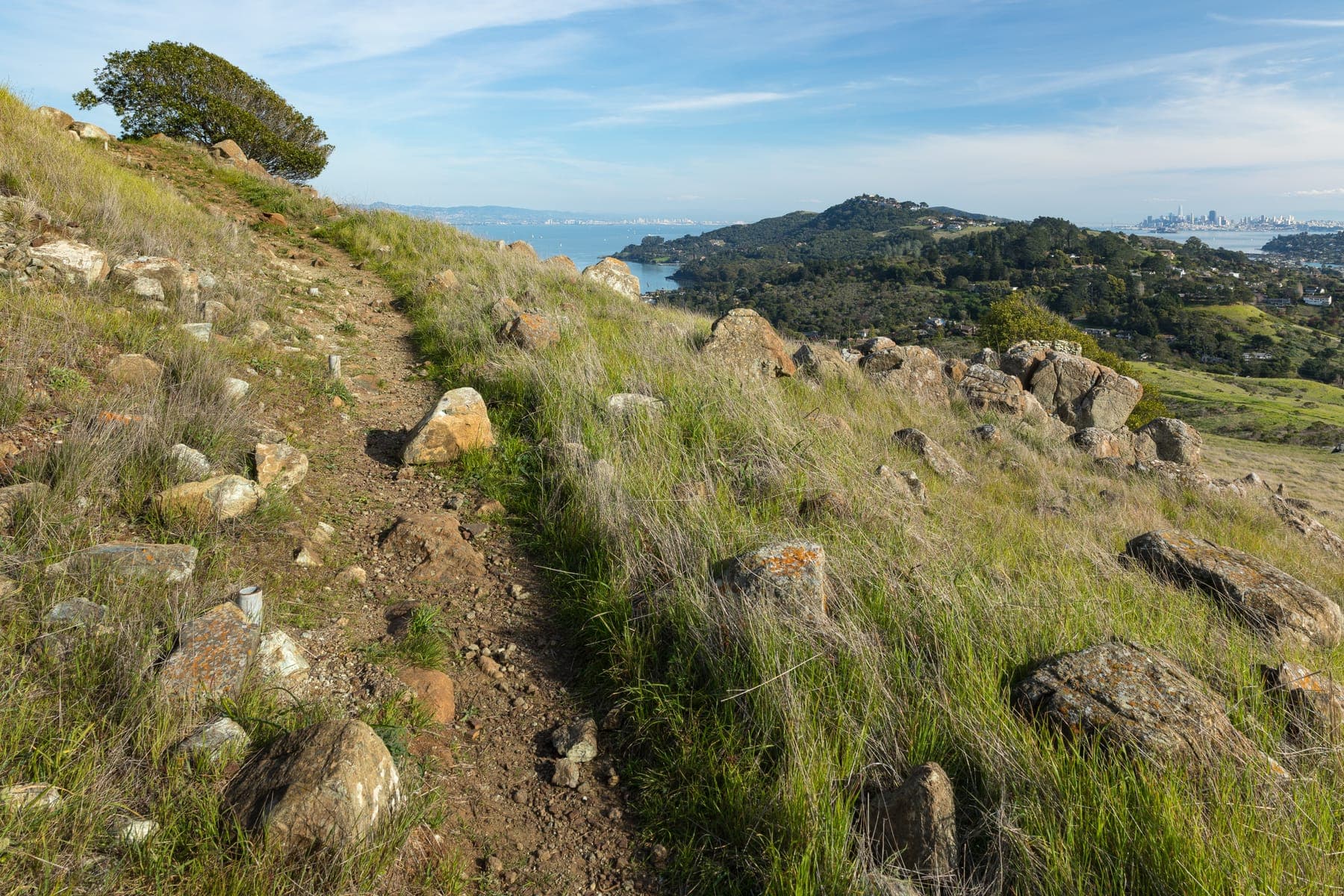 A trail on Ring Mountain overlooking the Tiburon Peninsula and the Bay